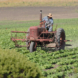 man in tractor on farm